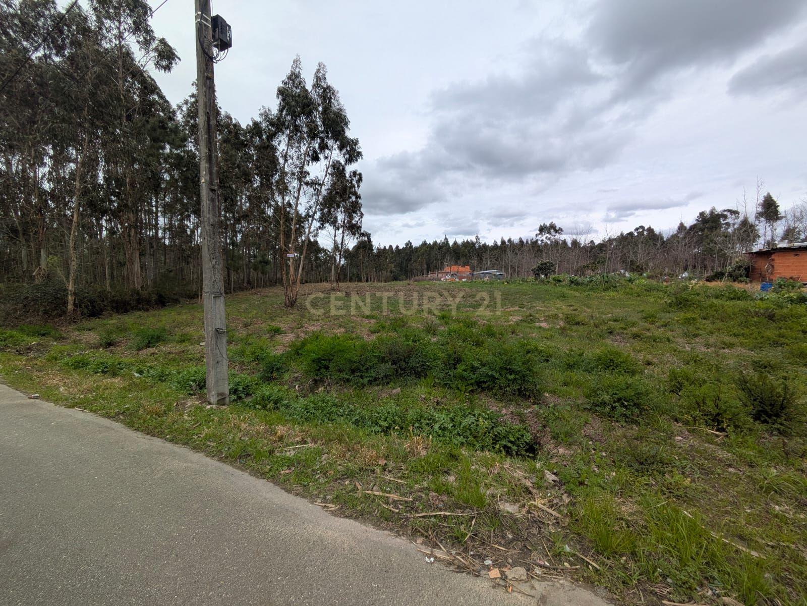 Terreno Agroflorestal em Oliveira do Bairro - 15.000€ - Image 1